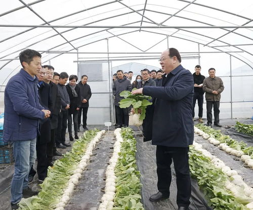 彭佳學調研 三農(nóng) 工作鳳凰網(wǎng)寧波