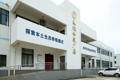 文昌馮家灣現(xiàn)代化漁業(yè)產(chǎn)業(yè)園 打造水產(chǎn)種業(yè)硅谷，讓水產(chǎn)住進(jìn)“別墅”