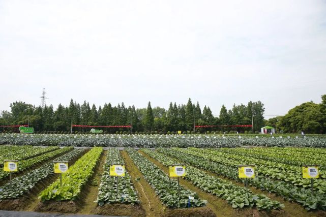 2022浙江種業博覽會明日盛大開幕，助推現代種業創新發展