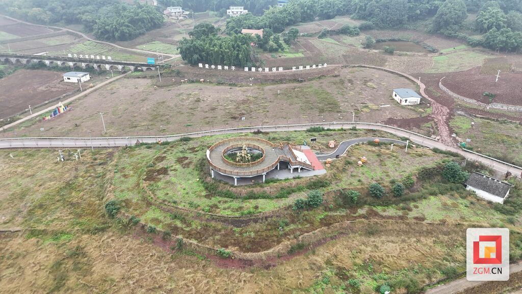 永安鎮大豆種業基地豐收喜人，2000畝油菜輪種續寫豐收篇章