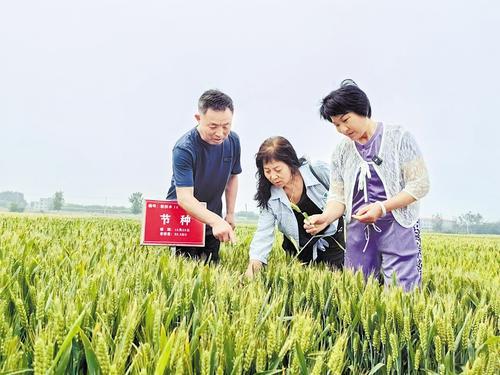 國家級展會賦能，洞見中國種業發展的新機遇