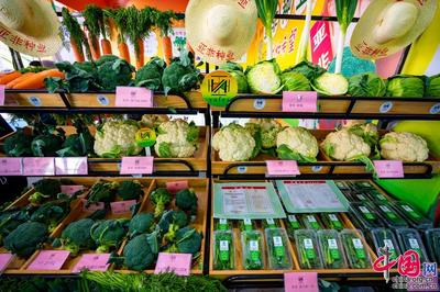 種業振興，改變世界 第二十九屆中國北京種業大會特色產品璀璨亮相