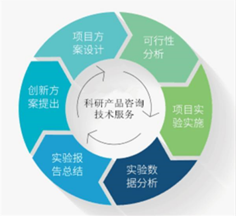 國產(chǎn)大鼠血小板因子4 ELISA檢測試劑盒技術(shù)指南 從實(shí)驗(yàn)設(shè)計到數(shù)據(jù)分析